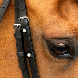 SD Cheek pieces with 2 crystals. Black.