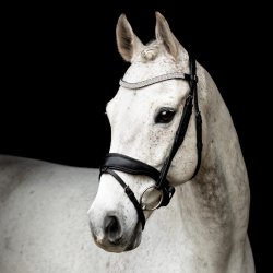 SD Noseband black/black. 