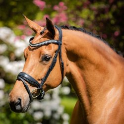 SD Noseband black/black. 