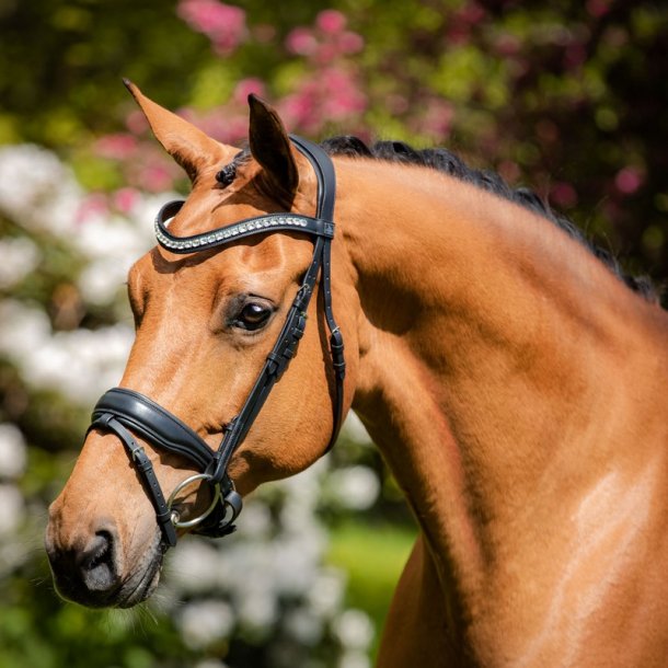SD Noseband black/black. 