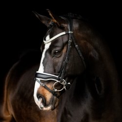 SD Noseband black/white. 
