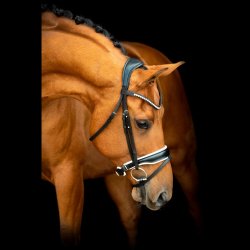 SD Noseband black/white. 