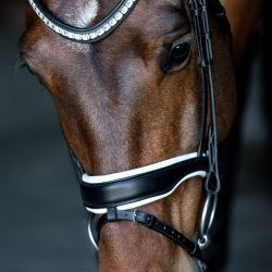 SD Noseband black/white. 