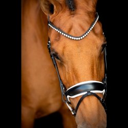 SD Noseband black/white. 