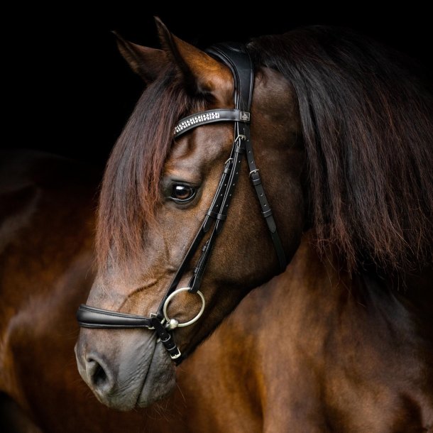 SD Drop noseband. Black.
