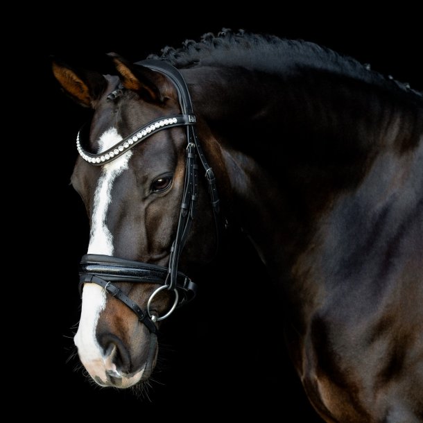 SD Mystery Browband. Black.