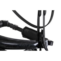 SD Mystery bridle in Black. 