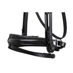 SD Mystery bridle in Black. 