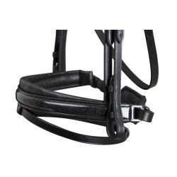SD Mystery bridle in Black. 