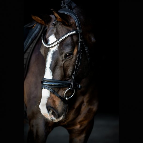 SD Mystery bridle in Black. 