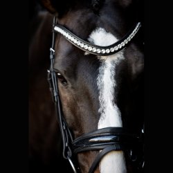 SD Mystery bridle in Black. 