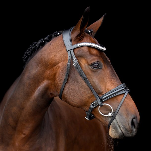 SD Mystery bridle in Black. 