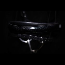SD Mystery bridle in Black. 