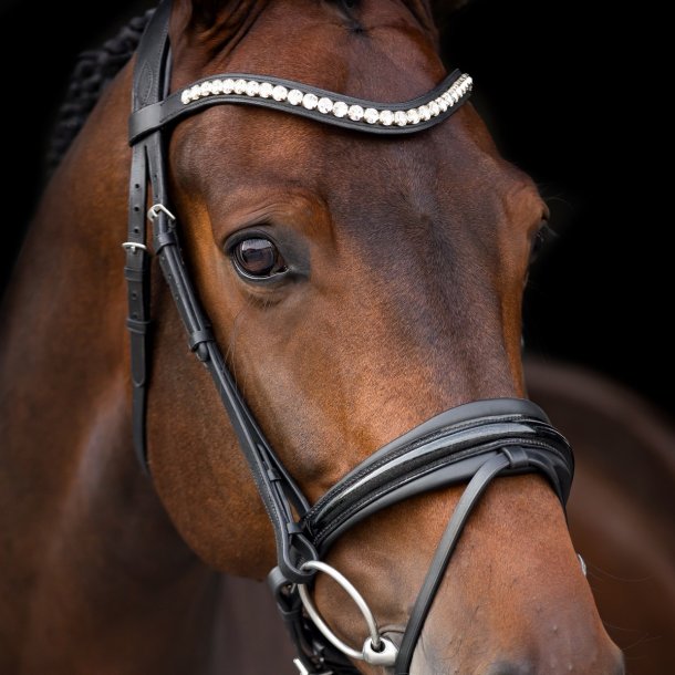 SD Mystery bridle in Black. 