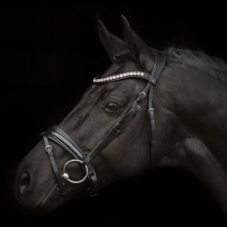 SD Mystery bridle in Black. 