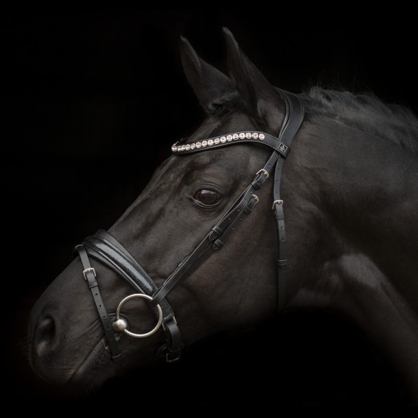SD Mystery bridle in Black. 