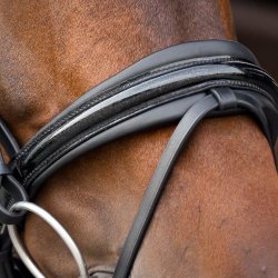 SD Mystery bridle in Black. 