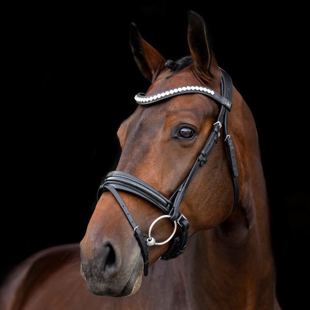 SD Mystery bridle in Black. 