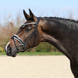 SD Mystery bridle. Black/White. 