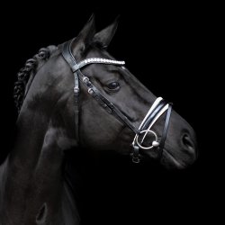 SD Mystery bridle. Black/White. 