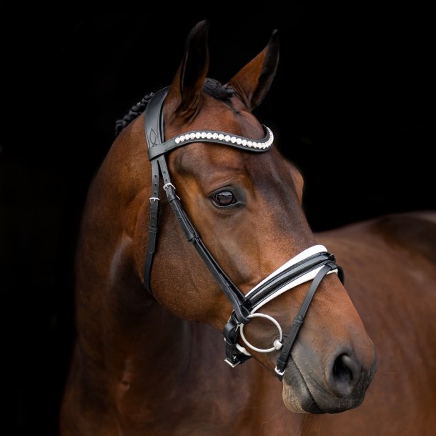SD Mystery bridle. Black/White. 