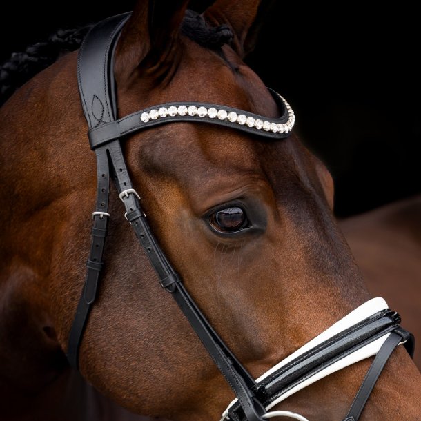 SD Mystery bridle. Black/White. 