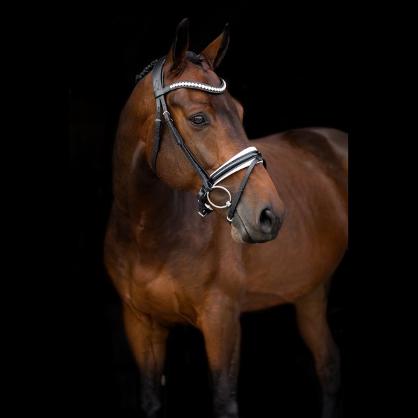 SD Mystery bridle. Black/White. 