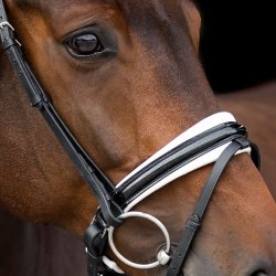 SD Mystery bridle. Black/White. 
