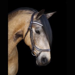 SD Anatomic Noseband No III with Crystals. Brown/Brown. 