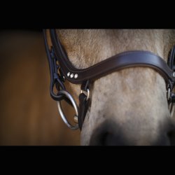 SD Anatomic Noseband No III with Crystals. Brown/Brown. 