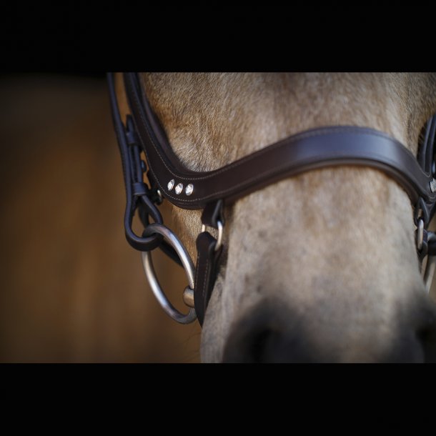 SD Anatomic Noseband No III with Crystals. Brown/Brown. 