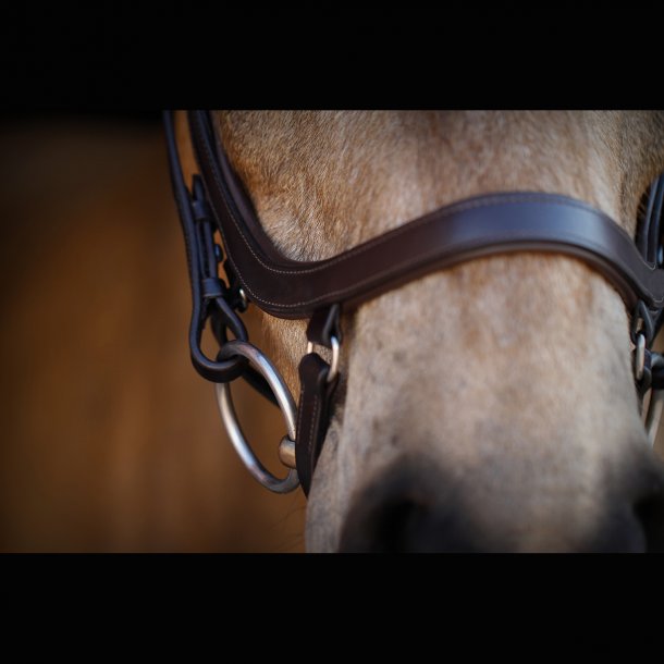SD Anatomic Noseband No IIII. Brown/Brown. PONY.