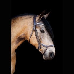 SD Anatomic Noseband No IIII. Brown/Brown. PONY.