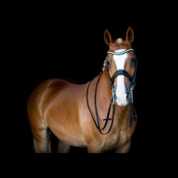 SD Mystery Double bridle in Black/Black/Glitter patent.