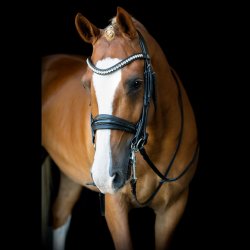 SD Mystery Double bridle in Black/Black/Glitter patent.