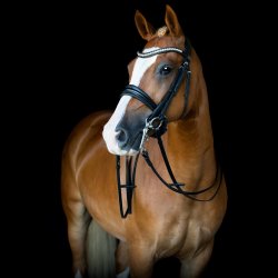 SD Mystery Double bridle in Black/Black/Glitter patent.