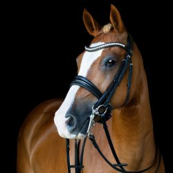 SD Mystery Double bridle in Black/Black/Glitter patent.