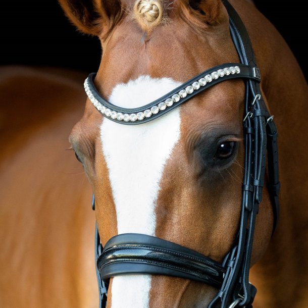 SD Mystery Double bridle in Black/Black/Glitter patent.