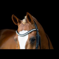 SD Mystery Double bridle in Black/Black/Glitter patent.