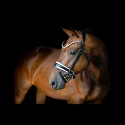 SD L nique II bridle. Black/White