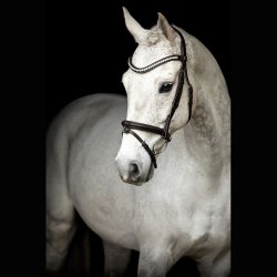 SD Leerox Bridle. Brown.  