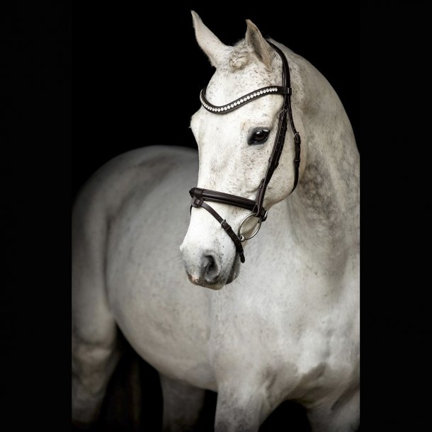SD Leerox Bridle. Brown.  