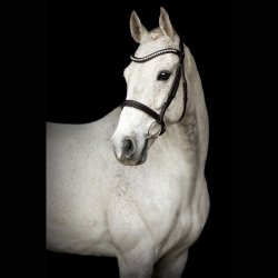  SD� Noseband with removable flash. Brown/Brown