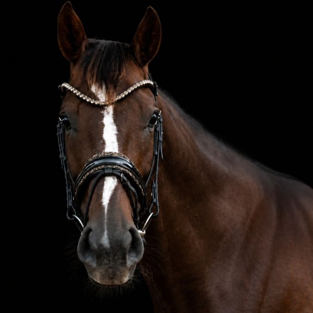 Noseband with Gold Diamonds BR/BR/PT