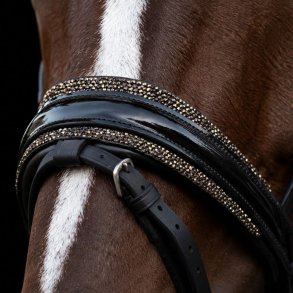 Noseband with Gold Diamonds BR/BR/PT
