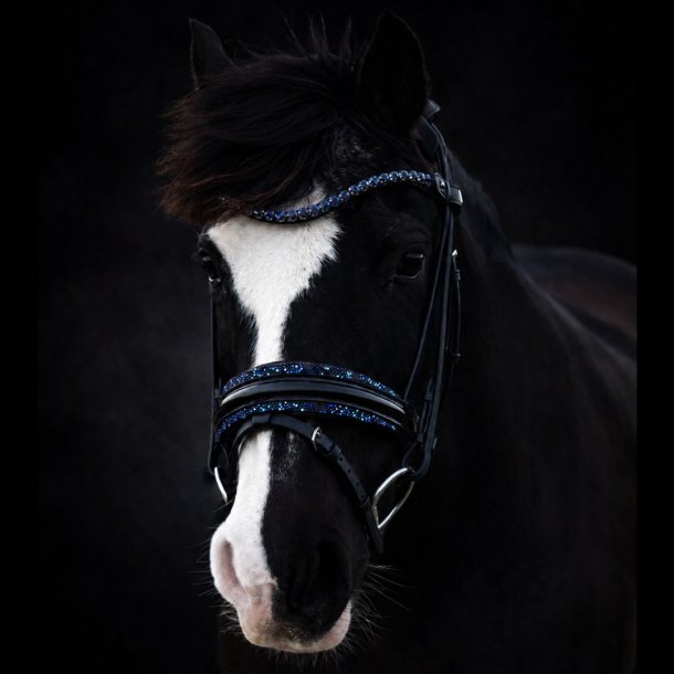 SD� Diamond Bridle Black/Navy 