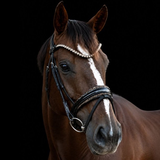 Noseband with Gold Diamonds BR/BR/PT