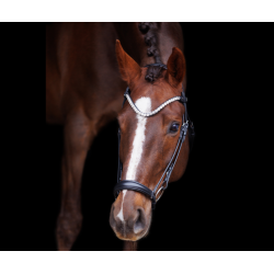 SD� L �nique dropnose bridle. Black/Black.