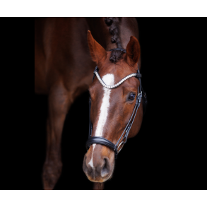 SD� L �nique dropnose bridle. Black/Black.