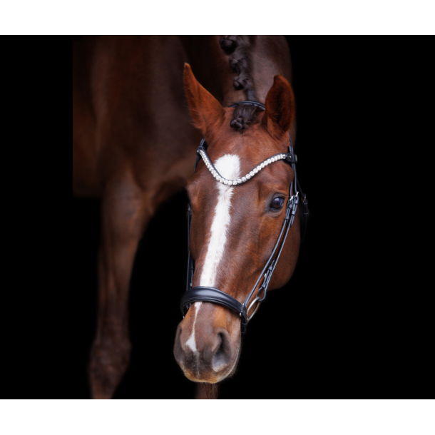 SD� L �nique dropnose bridle. Black/Black.